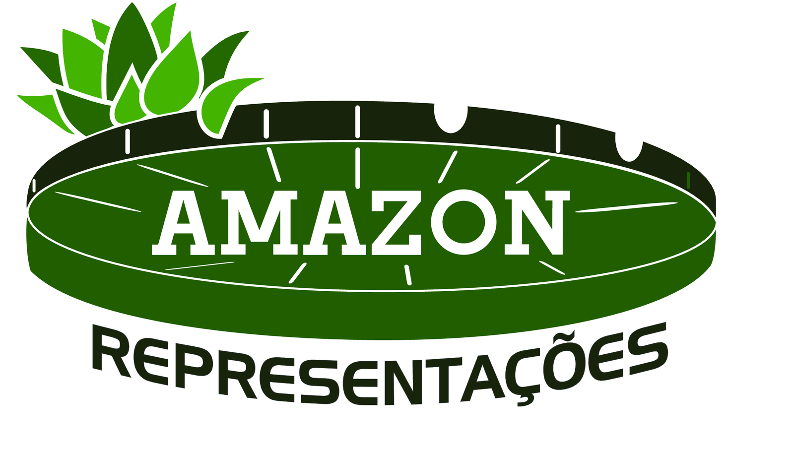 Amazon Representações